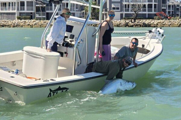 A large tarpon is released from an Atlas Boatworks 23F