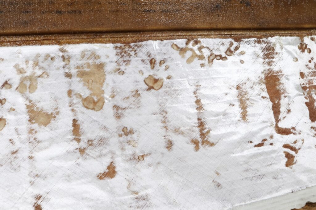 Resin-soaked handprints show through fiberglass cloth in a boat mold