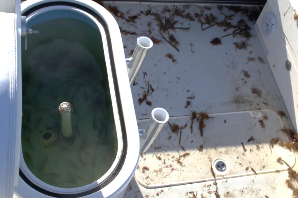 Deck of the Atlas Boatworks 23F bay boat is covered with seaweed